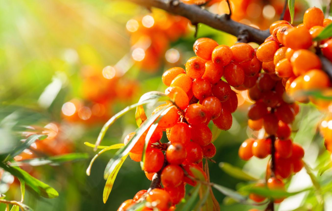slider image slider_item_D47KYK