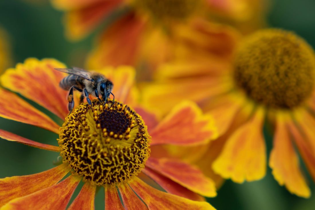 slider image slider_item_D47KYK