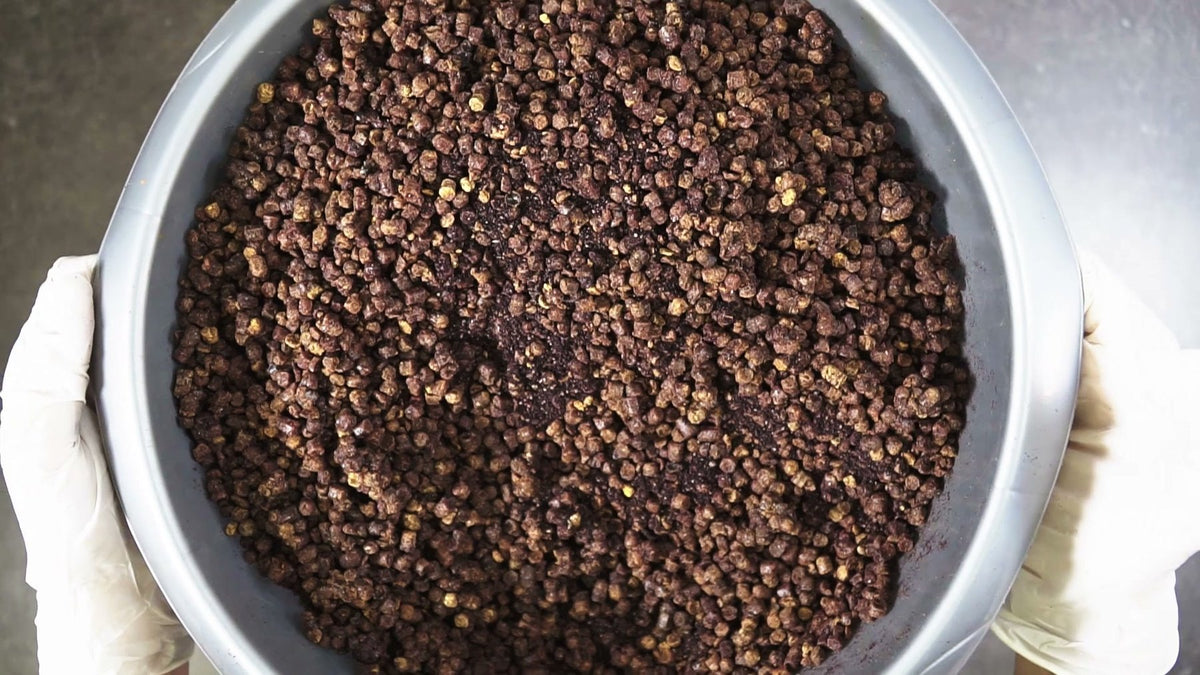 Pergarakeita kulhossa